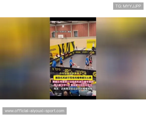 欧洲观察:乒乓德甲俱乐部商业创新与破局策略,德国乒乓球俱乐部收入